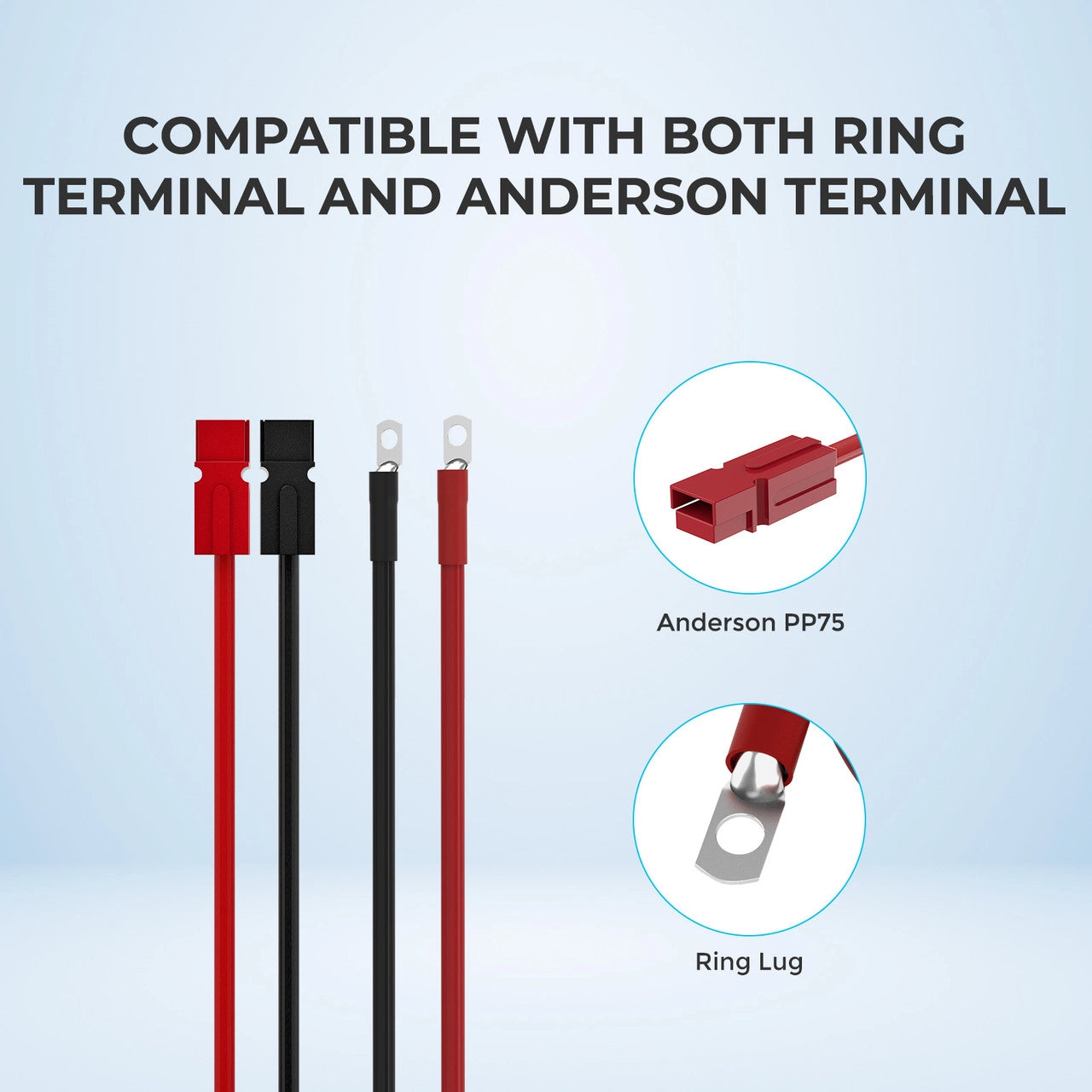 Renogy 5FT 6AWG Anderson Adapter Cable（Anderson PP75 - 3/8 in Lugs）